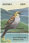 Lesser Honeyguide Indicator minor  1999 Birds of Uganda Sheet