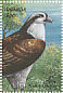 Western Osprey Pandion haliaetus  1999 Birds of Uganda Sheet