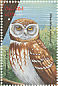 Pearl-spotted Owlet Glaucidium perlatum  1999 Birds of Uganda Sheet