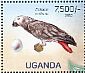 Grey Parrot Psittacus erithacus  2013 Endangered and vulnerable bird species Sheet