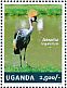 Grey Crowned Crane Balearica regulorum