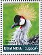 Grey Crowned Crane Balearica regulorum  2014 Cranes Sheet