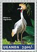Grey Crowned Crane Balearica regulorum  2014 Cranes  MS