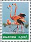 Greater Flamingo Phoenicopterus roseus  2014 Flamingos Sheet