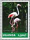 Chilean Flamingo Phoenicopterus chilensis  2014 Flamingos Sheet