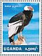 Andean Condor Vultur gryphus