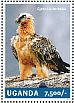 Bearded Vulture Gypaetus barbatus  2014 Vultures  MS