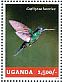 Buff-winged Starfrontlet Coeligena lutetiae  2014 Hummingbirds Sheet