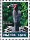 Southern Ground Hornbill Bucorvus leadbeateri  2014 Hornbills Sheet