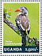 Northern Red-billed Hornbill Tockus erythrorhynchus  2014 Hornbills Sheet