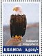 Bald Eagle Haliaeetus leucocephalus  2014 Eagles Sheet