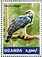 Harpy Eagle Harpia harpyja  2014 Eagles Sheet
