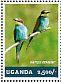 European Bee-eater Merops apiaster