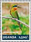 Blue-tailed Bee-eater Merops philippinus