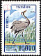 Common Crane Grus grus