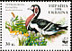 Red-breasted Goose Branta ruficollis  1998 WWF p 13Â½x13Â¾