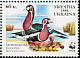 Red-breasted Goose Branta ruficollis  1998 WWF p 13Â½x13Â¾