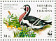 Red-breasted Goose Branta ruficollis  1998 WWF Sheet, p 11Â½