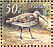 Eurasian Curlew Numenius arquata