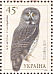 Great Grey Owl Strix nebulosa