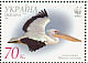 Great White Pelican Pelecanus onocrotalus  2007 WWF 