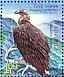 Cinereous Vulture Aegypius monachus