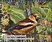 Hawfinch Coccothraustes coccothraustes  2018 Flora and fauna 6v sheet