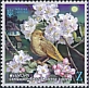 Thrush Nightingale Luscinia luscinia