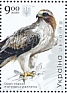 Booted Eagle Hieraaetus pennatus