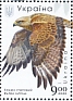 Long-legged Buzzard Buteo rufinus  2020 Birds of prey Sheet