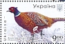 Common Pheasant Phasianus colchicus