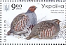 Grey Partridge Perdix perdix