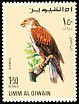 Ferruginous Hawk Buteo regalis