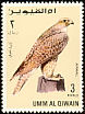 Gyrfalcon Falco rusticolus