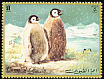 Emperor Penguin Aptenodytes forsteri  1972 Penguins 