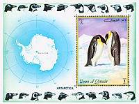 Emperor Penguin Aptenodytes forsteri