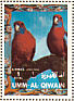 Crimson Rosella Platycercus elegans  1972 Birds 