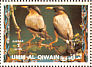 Brahminy Starling Sturnia pagodarum  1972 Birds 