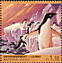 Adelie Penguin Pygoscelis adeliae