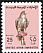 Saker Falcon Falco cherrug  1990 Definitives 