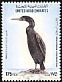Socotra Cormorant Phalacrocorax nigrogularis  1995 Birds 