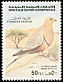 Chestnut-bellied Sandgrouse Pterocles exustus  1996 Birds 