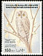 Pallid Scops Owl Otus brucei  1996 Birds 
