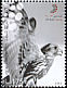 Saker Falcon Falco cherrug  2003 Dubai 2003 4v set