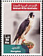 Peregrine Falcon Falco peregrinus