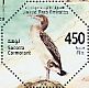 Socotra Cormorant Phalacrocorax nigrogularis  2010 Seabirds Sheet