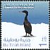 Socotra Cormorant Phalacrocorax nigrogularis