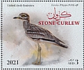 Eurasian Stone-curlew Burhinus oedicnemus