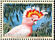 Major Mitchell's Cockatoo Lophochroa leadbeateri  1997 Endangered species 4v set