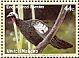 Black-fronted Piping Guan Pipile jacutinga  2011 Endangered species 